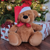 40cm Brown Bear Christmas Personalised on Feet