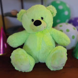 40cm Lime Bear Anniversary Gift with Message on Feet