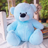 30cm Light Blue Bear Baby New Born Personalised Message on Feet