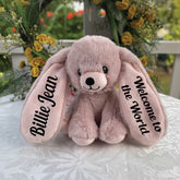 Remi Pink Bunny 22cm Newborn Gift with Message on Ears