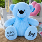 Light Blue Bear 40cm Valentines Day Message on Feet