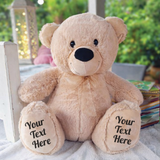 40cm Beige Zipper Bear Message Recorder Heart β Custom Message on Feet