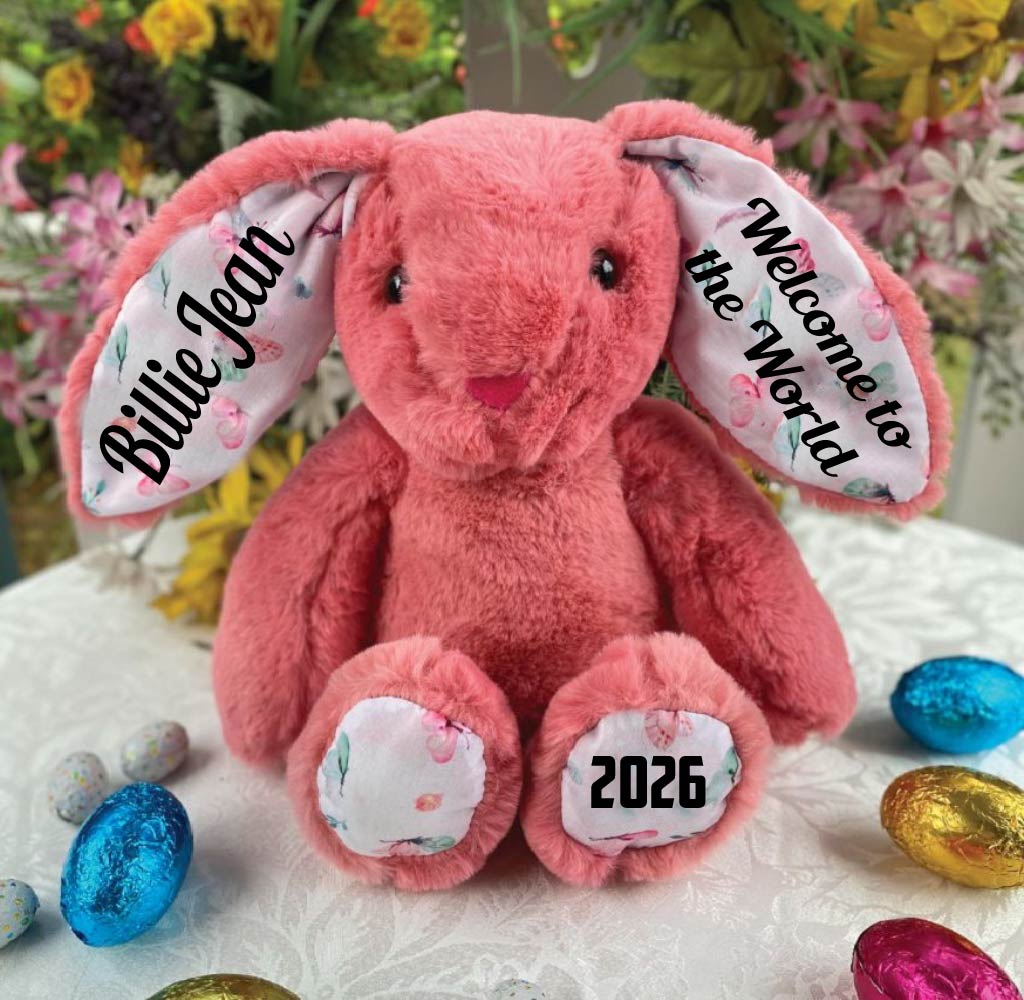 27cm Pink Breeze Bunny for Newborn with Message On Ears