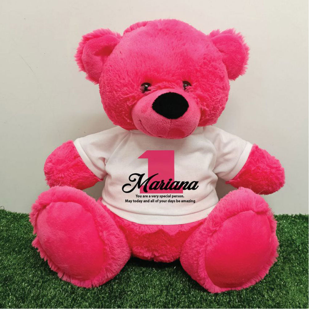 Hot Pink Bear 40cm – Personalised 1st Birthday Shirt