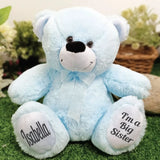 Light Blue Bear 30cm Big Sister Personalised Message on Feet