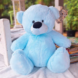 Light Blue Bear 40cm Custom Message on Feet