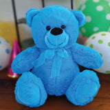 Bright Blue Bear 30cm Anniversary Gift with Message on Feet