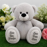 Grandad Silver Bear 30cm with Message on Feet