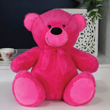 Hot Pink Bear 30cm Custom Message on Feet