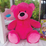 Hot Pink Bear 40cm Anniversary Gift with Message on Feet