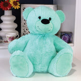 Mint Bear 30cm – 18th Birthday Message on Feet
