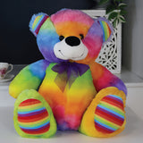 Rainbow Bear 30cm Baby New Born Gift with Message on Feet