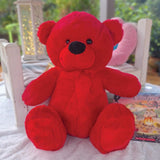 Personalised 40cm Red Bear for 1st Birthday with Feet Message