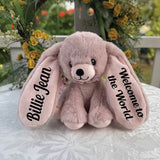 Remi Pink Bunny 22cm Newborn Gift with Message on Ears