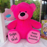 Hot Pink Bear 30cm Anniversary Personalised Message on Feet