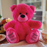 Hot Pink Bear 30cm Custom Message on Feet